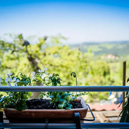 Il Risveglio Del Poggio Castiglione dʼOrcia